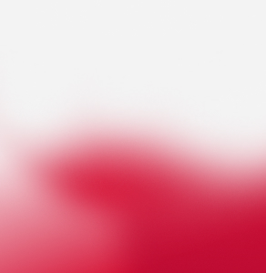 Партнерский день CMWP и РАНХиГС «Развитие туризма и КРТ»